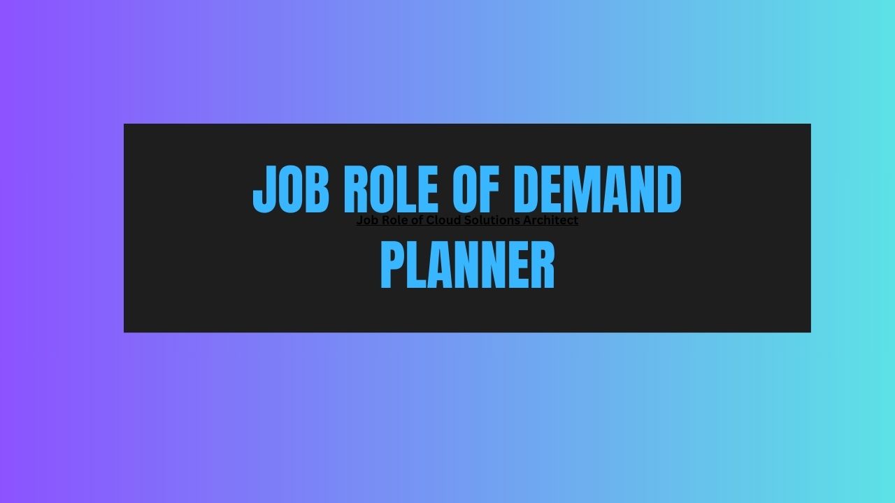Job Role of Demand Planner