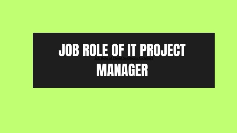 Job Role of IT Project Manager