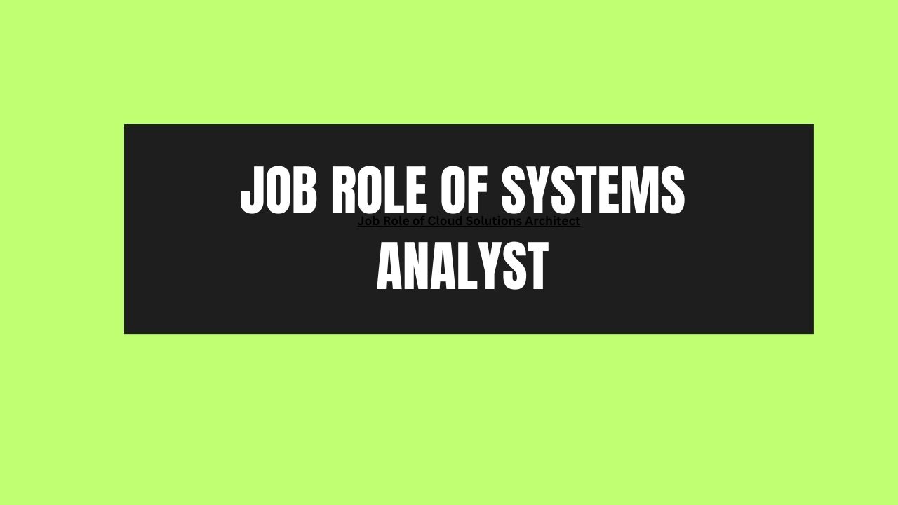Job Role of Systems Analyst