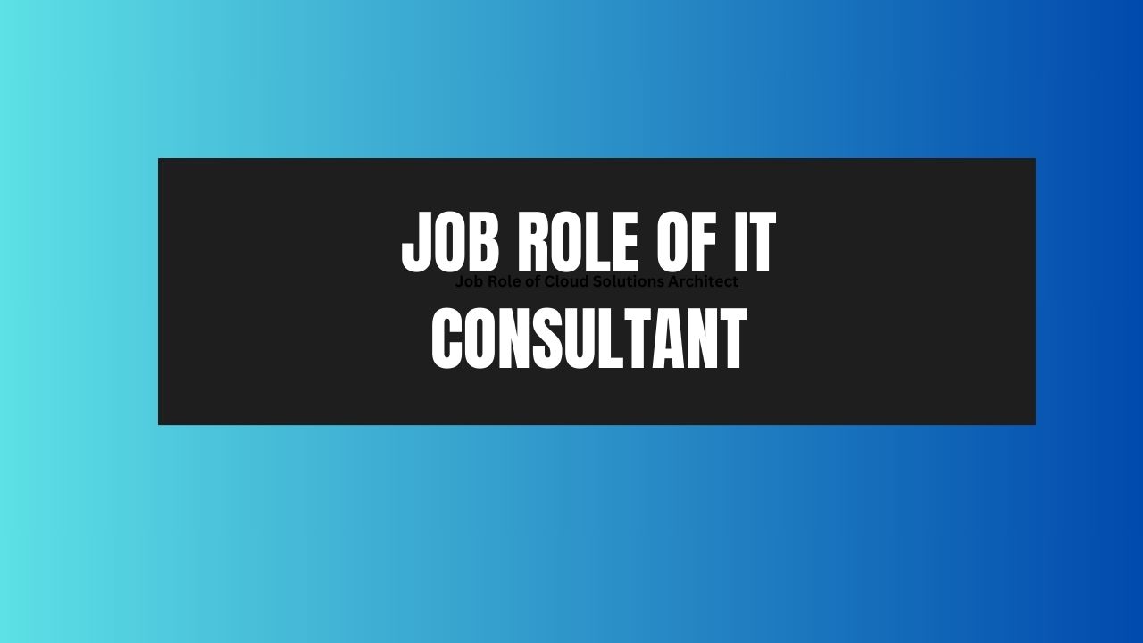 Job Role of IT Consultant