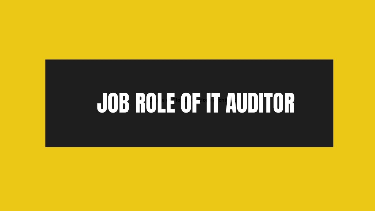 Job Role of IT Auditor