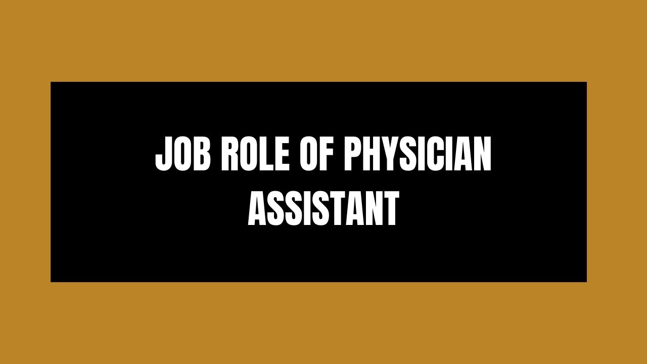 Job Role of Physician Assistant